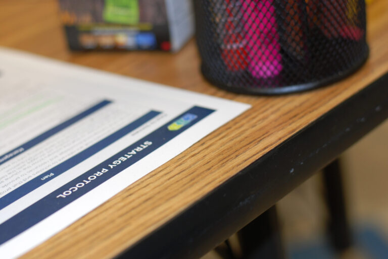 Teacher Professional Development